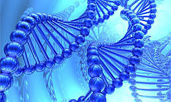 PREDICCIONES GENÉTICAS