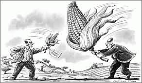 Fin de Desarrollo Estabilizador