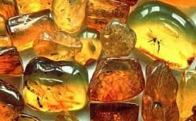 Variedad de colores.