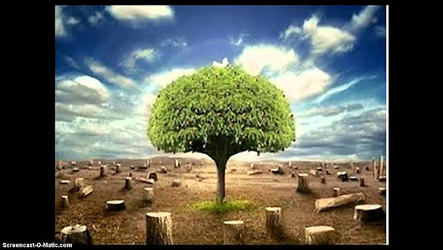 3. Pérdida de biodiversidad