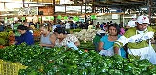 Las Ferias de consumo familiar de Barquisimeto