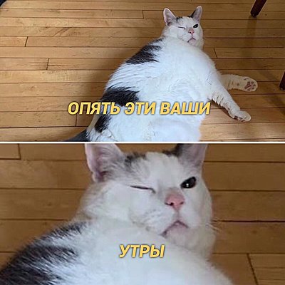 Timeline: история праздника