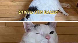 Timeline: история праздника