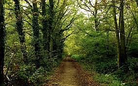 Crea la seva pròpia escola