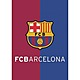 Postal a4 fc barcelona escudo