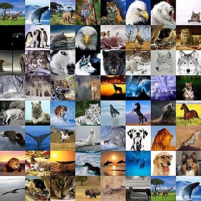 Timeline: LOS ANIMALES EN PELIGRO DE EXTINCIÓN