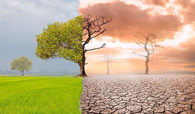 ¿Que es la naturaleza?