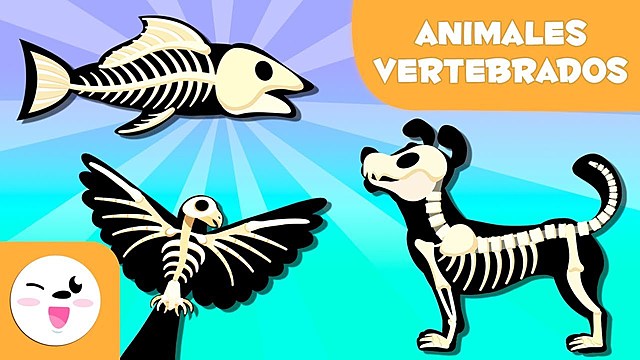 ANIMALES VERTEBRADOS