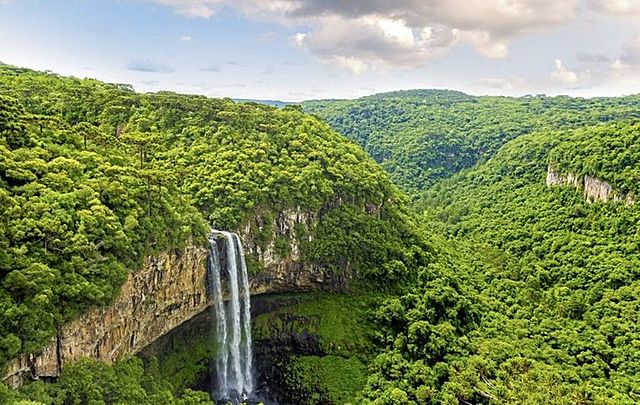 ¿Importancia de la naturaleza?