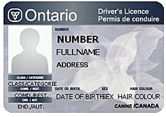G1 License