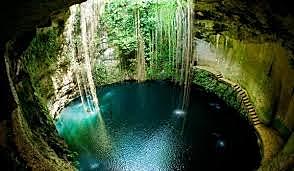 12 Datos curiosos sobre la naturaleza