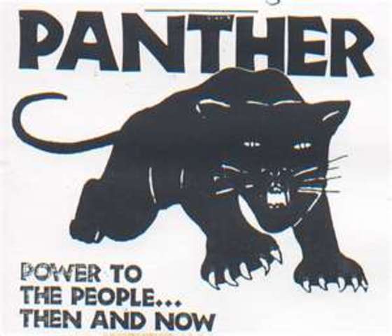 The Black Panther party