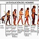 Evolucion del hombre