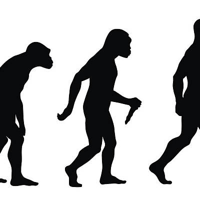 Timeline: Evolución del Hombre en la historia