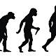 Evolución del hombre