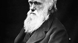 Timeline: Charles Darwin