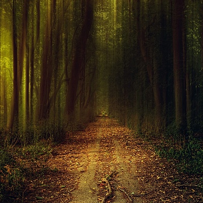 Timeline: PRACTICO ABANS DE LA PROVA