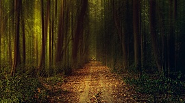 Timeline: PRACTICO ABANS DE LA PROVA