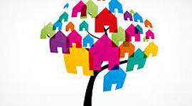 Timeline: DESARROLLO SOCIAL