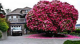 Timeline: Evolución de la tecnología