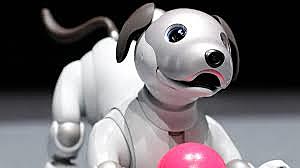 Perro Robot