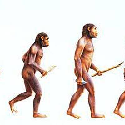 Timeline: Processo evolutivo do Homem