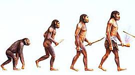 Timeline: Processo evolutivo do Homem