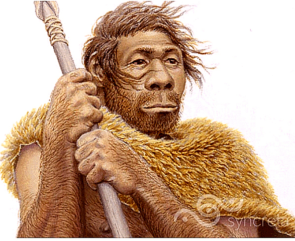 Homo Sapiens 350 m.a