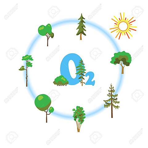 decubrimiento del oxigeno