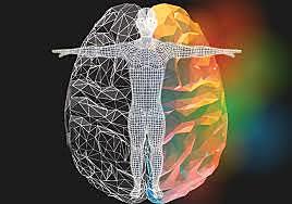 Alcmeón de Crotona.