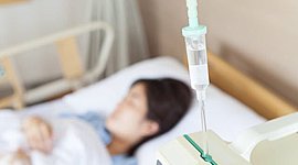 Timeline: Campos de fresas