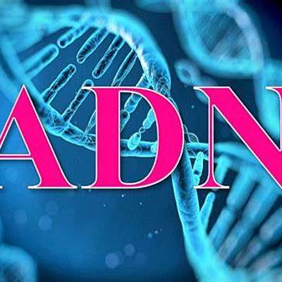 Timeline: Principales descubrimientos del ADN