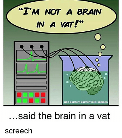 Brains in a Vat