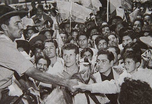 Rehabilitación de las zonas afectadas