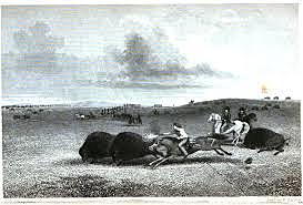 Texan Santa Fe Expedition