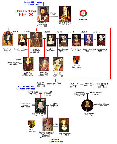 Tudor Dynasty/Family Tree