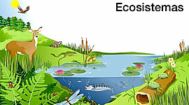 Timeline: LINEA DE TIEMPO DE LOS ECOSISTEMAS