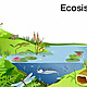 Ecosistemas