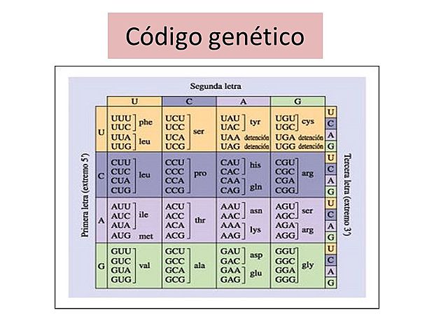 FANCIS CRICK, SYDNEY BRENNER