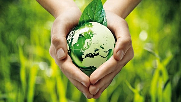 ECOLOGÍA AMBIENTAL DE LEONARDO BOFF