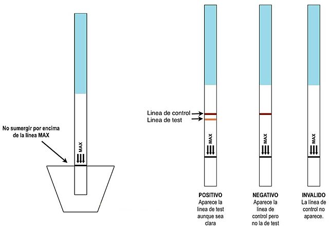 1300 A.C Instrucciones para la prueba de embarazo más antigua.