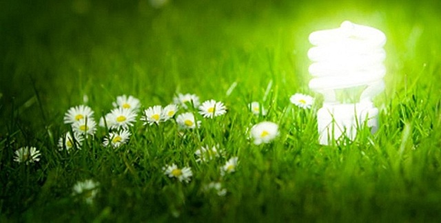 Colombia tuvo en 2017 una capacidad instalada de bioenergía de 296 MW