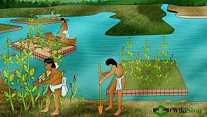 La agricultura como trabajo principal