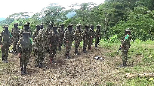 Origen Paramilitarismo