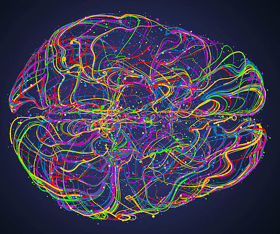 Uso del término de Neurona