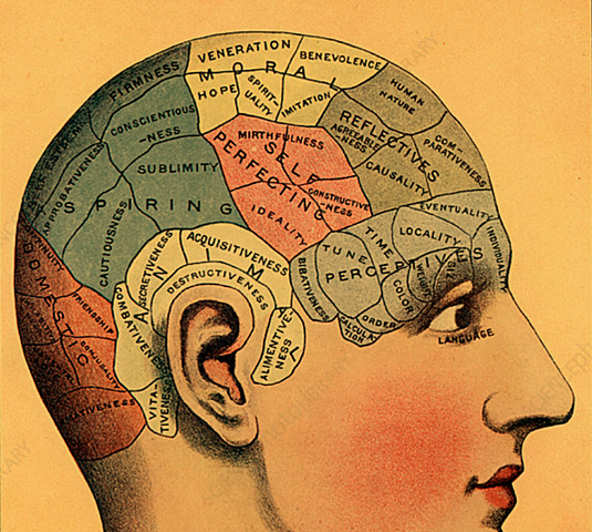 Franz Gall introduces the basic principles of phrenooogy