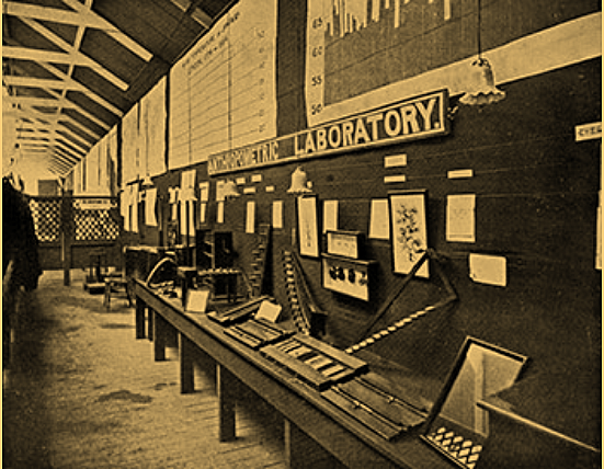 Franzis Galton establishes 'anthropometric laboratory' in London