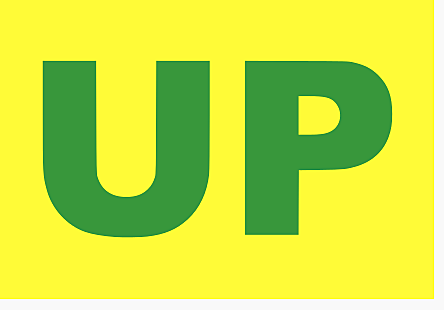 1985 Union Patriótica 1985