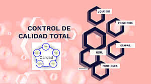 EL CONTROL DE LA CALIDAD TOTAL