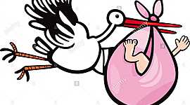 Timeline: mi historia